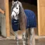 Horseware Rambo 200g Stable Rug - Navy/Navy/White